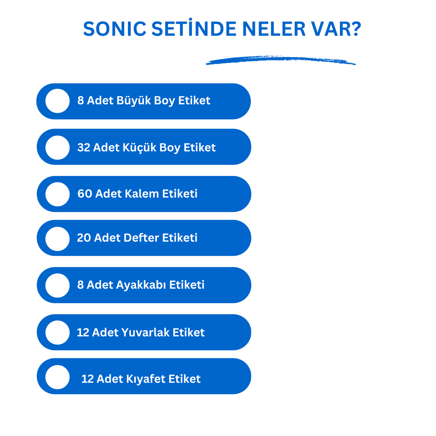 Sonic Okul Etiketi Seti