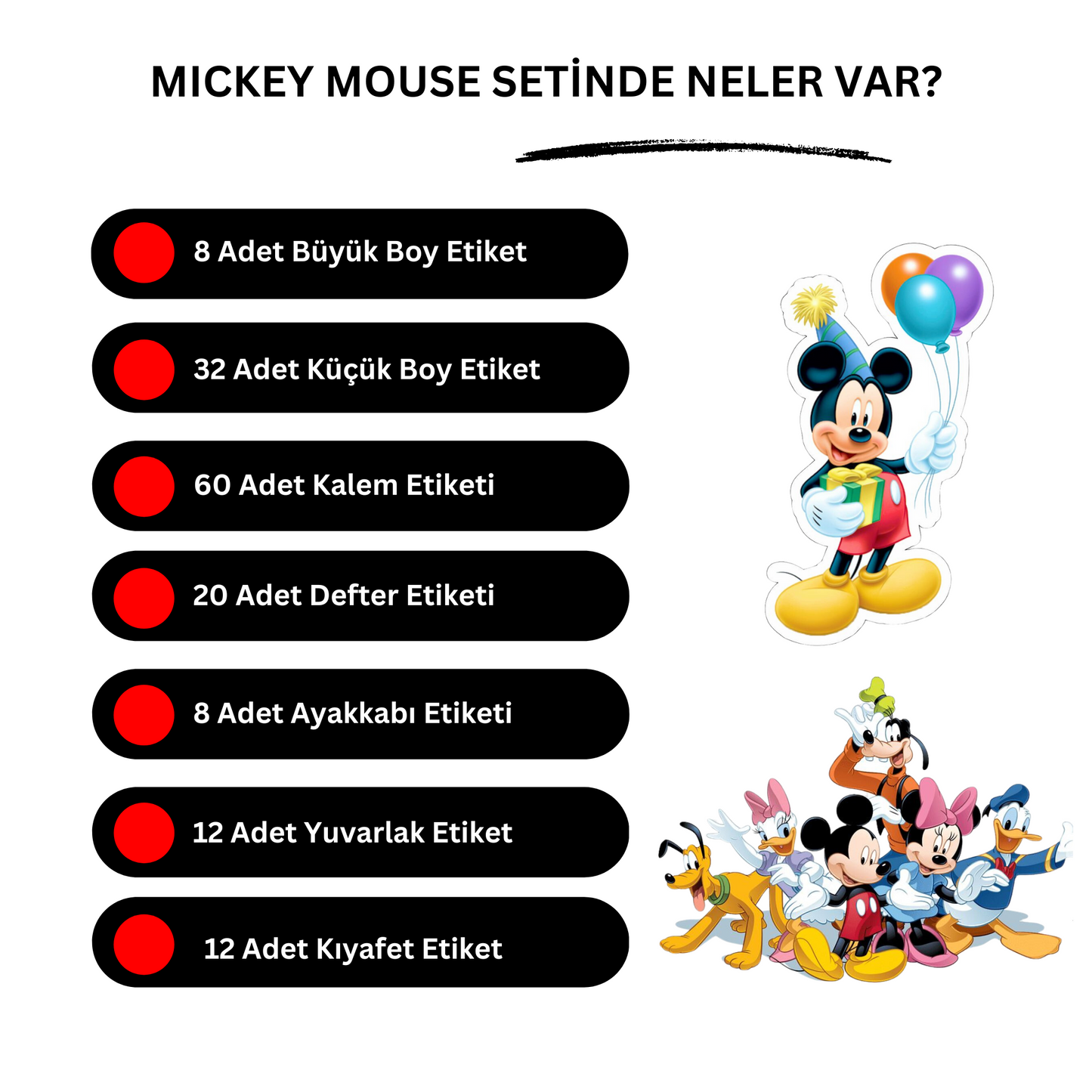 Mickey Mouse Okul Etiketi Seti